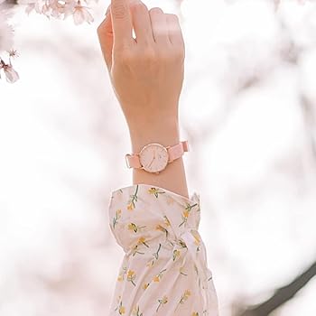 Amazon.co.jp: [Daniel Wellington] 【公式ショップ/化粧箱付き
